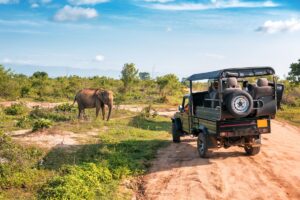 Yala Safari Sri Lanka