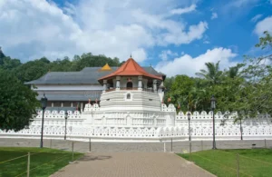 Kandy Tooth relic